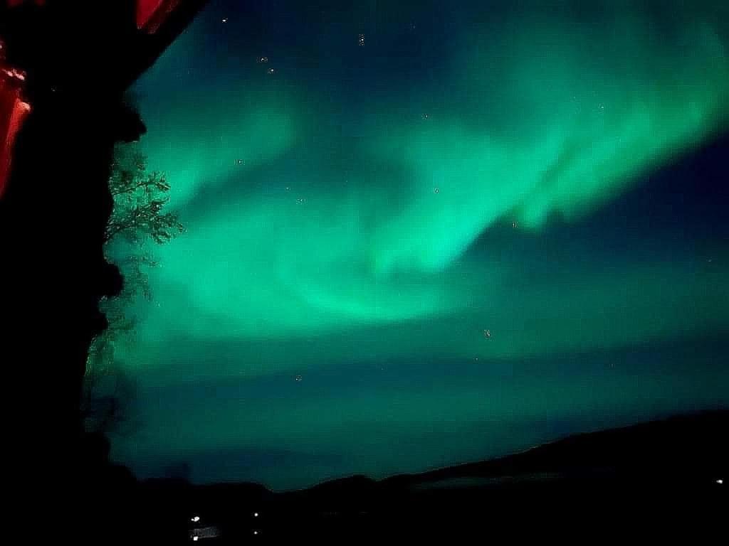 Cosy Cabin In North-Norway, Nearby Senja. Sorreisa Eksteriør billede